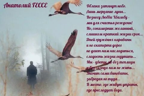 Стихи анатолия гессе