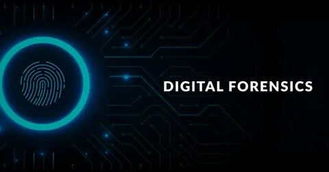 Edu цифровая