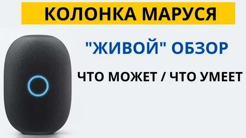 Какая колонка лучше алиса или