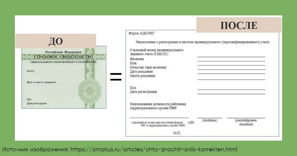 Номер страхового документа. Образец СНИЛС нового образца. Форма СНИЛС В 2021 году. СНИЛС нового образца 2020. СНИЛС новый образец 2021.