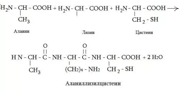 Гли сер цис. Ионные связи между радикалами аминокислот. Трипептид вал фен лиз. Гли ала гли. Трипептид вал-асп-фен формула.