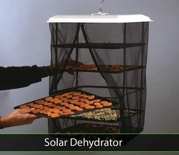 Solar foods
