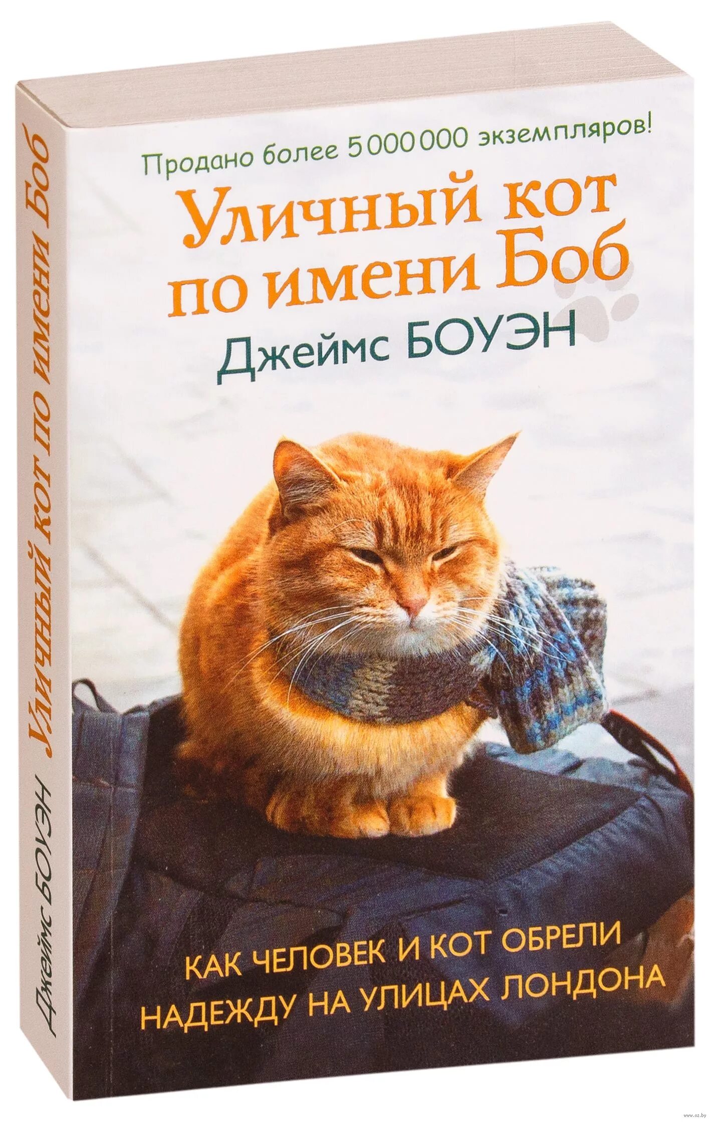 Книга кот боб читать. Дж. боуэн, «кот по имени боб». боуэн дж уличный кот по имени боб.