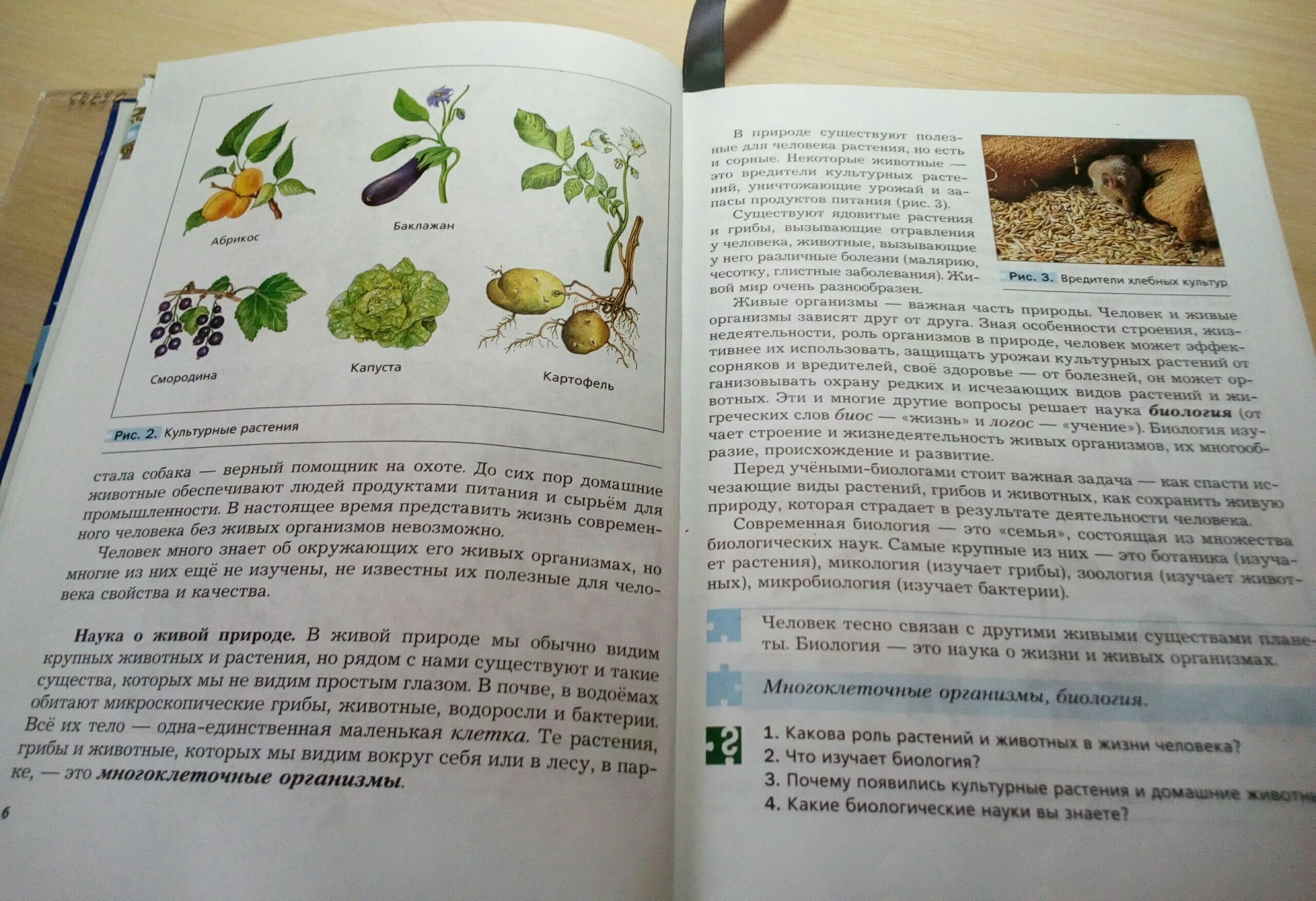 Биологические науки 5 класс биология ответы. Биология 5 класс. Биология 5 класс первая тема. Учебник биологии 5. Биология наука о живом мире 5 класс.