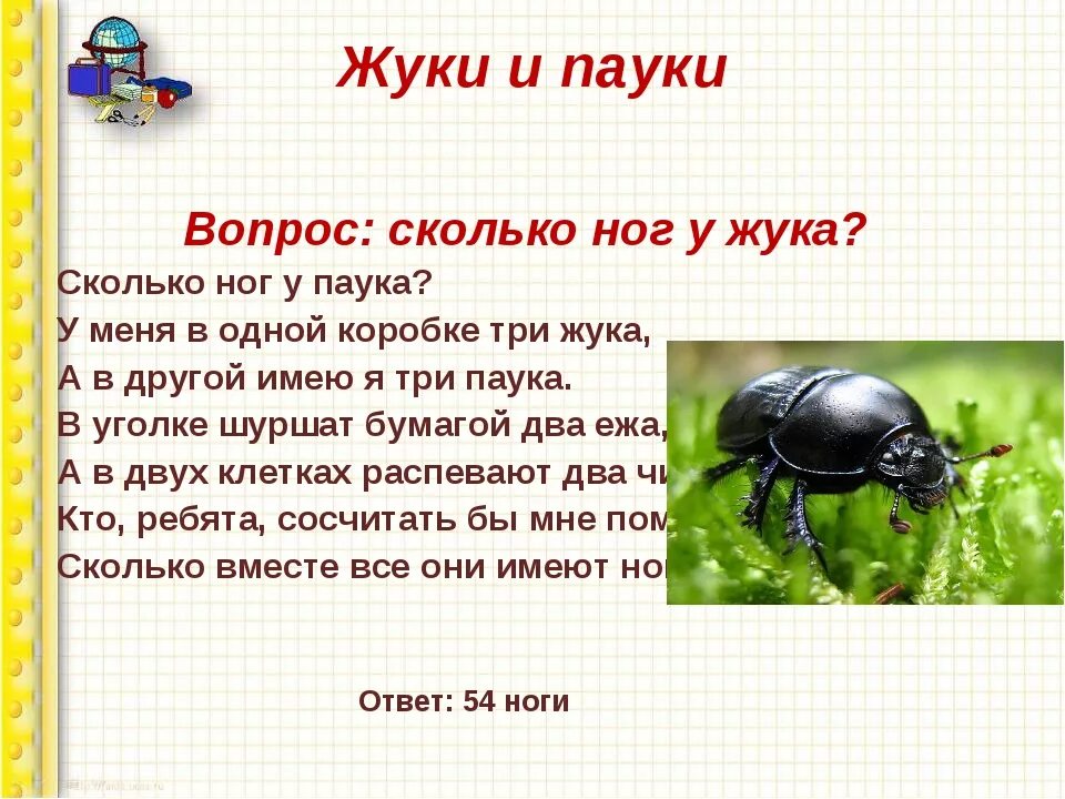 Сколько пары ног у насекомых. Сколько ног у жука. сколько лапок у жука и паука. сколько лапок у жука. у пауков 6 ног.