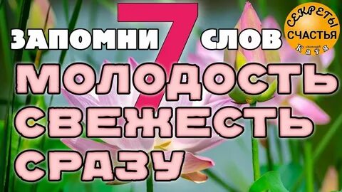 Секреты счастья мастер катя