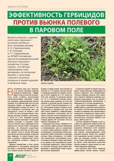 Как бороться с вьюнком