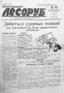 Советские мысли газета