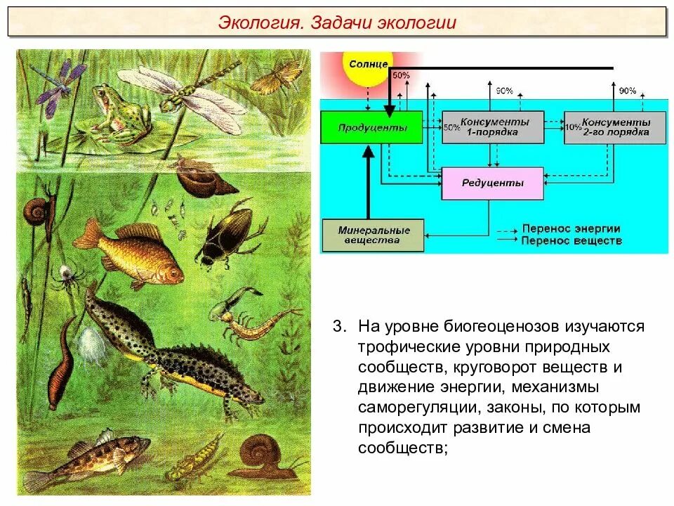 Экологические факторы 9 класс биология тест. Пименов экологические факторы. Пименов экология презентации. Экология экологические факторы презентация Пименов. Экологические факторы задания.