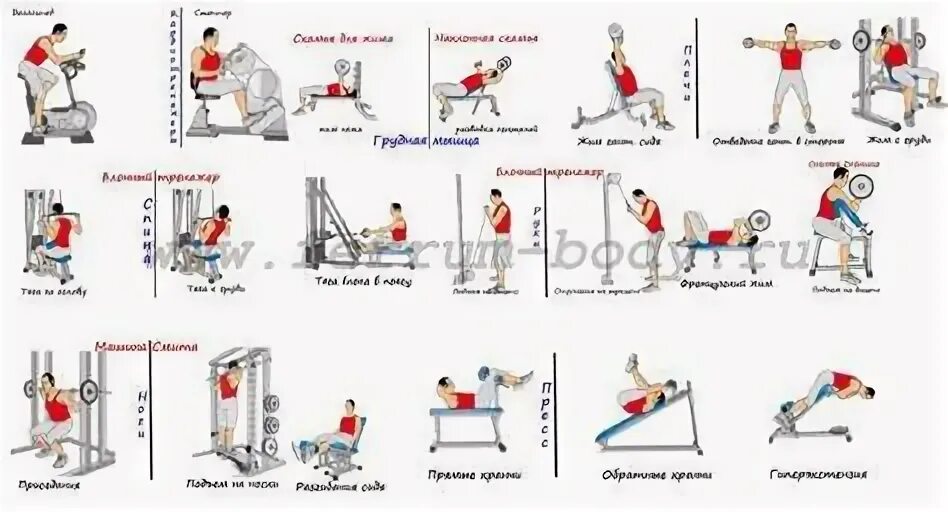 Упражнения для ног в тренажерном зале