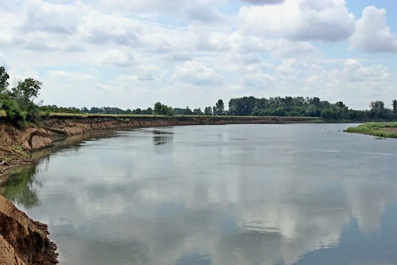 Волга каменный яр астраханская область. Река яра. Волга река чёрный яр. Каспаранский яр томск. Ярбалы река.