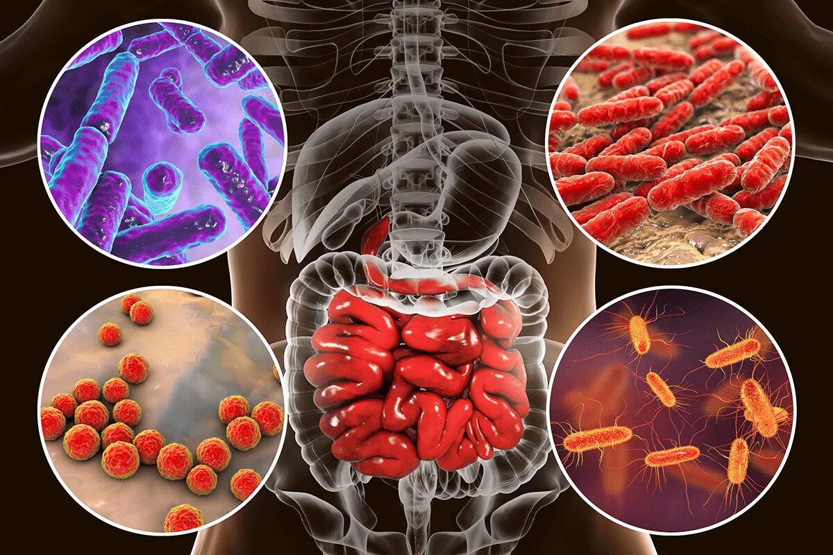 Вирусы вызывающие различные заболевания. Микробиотики микст Кутушова. Желудочно кишечная микробиота. Бактерии микробиота кишечника. Симбионтная микрофлора.
