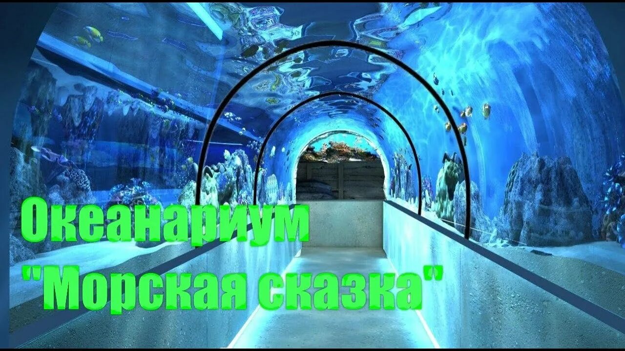 Санкт-петербург улица марата 86 санкт-петербургский океанариум. Подводный мир петербурга. Подводный мир петербурга. Океанариум планета нептун. Океанариум планета нептун.