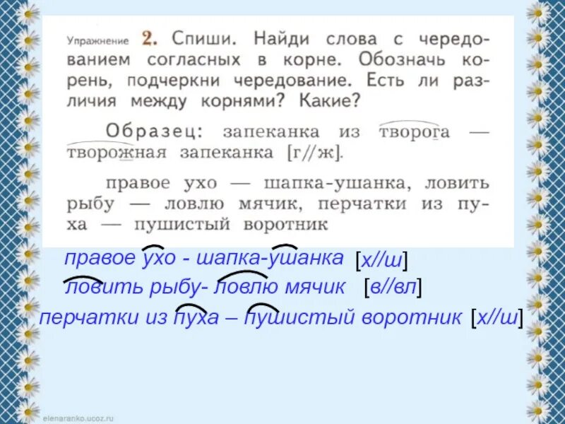 Какой корень в слове подчеркивают. Ловить ловлю чередование согласных в корне. Слова с чередованием согласных в корне слова. Корень слова с чередованием согласных 2 класс. Упражнения по чередованию согласных.