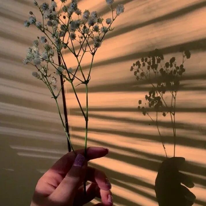 Эстэтичные обои наноуотбук. Разная эстетика. Коллаж в розовых тонах. Обои на ноутбук эстетичные. Естетика лили рейнхард.