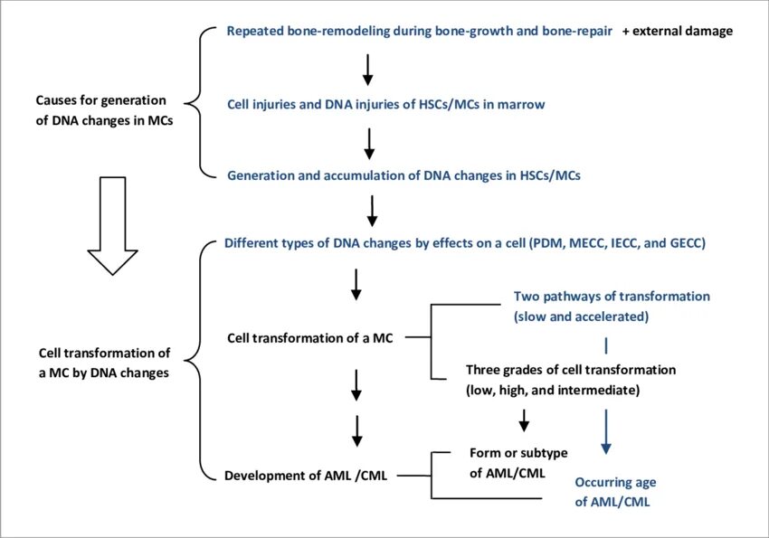 Aml bot проверка. Pathogenesis of acute leukemia. aml pathophysiology. aml-контрол. types of leukemia.