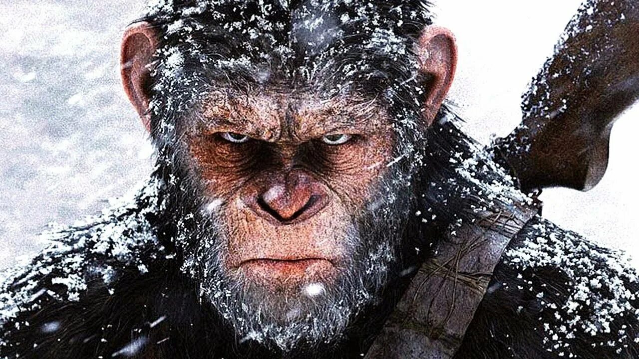 Caesar planet of the apes