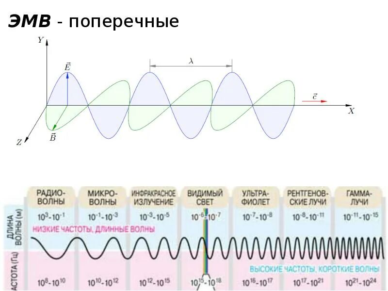 Поперечная электромагнитная волна. Частота электромагнитных волн. Поперечные ЭМВ. Электромагнитные волны с максимальной частотой