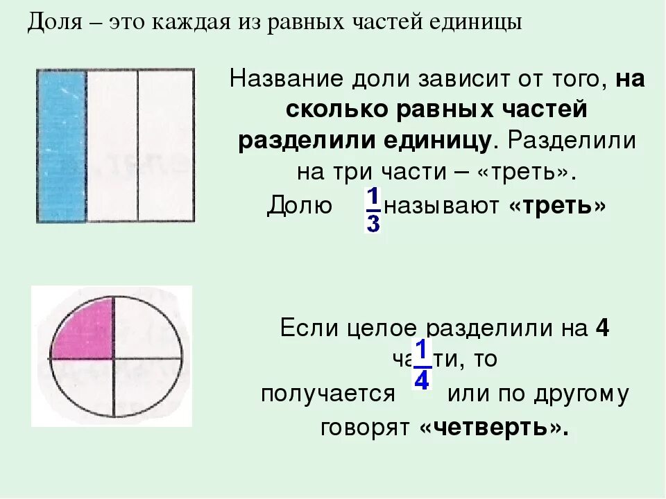 1 3 доли это сколько. Деление долей. 2/3 Доли в квартире это сколько. Разделить на доли. Доли три части.