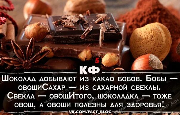 Что значит шоколад. Шоколад добывают из какао бобов. Шоколад это овощ. Шоколадка это овощ. Шоколад добывают из какао бобов Бобы.