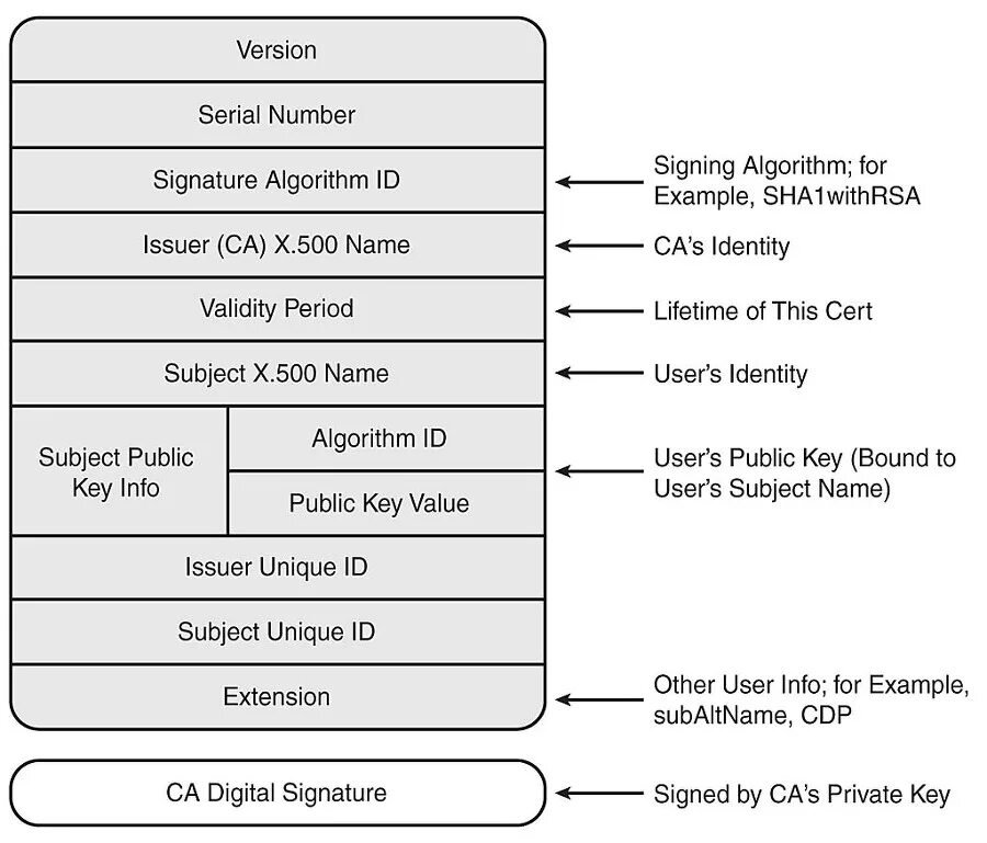 Структура сертификата x.509. Расширения сертификата x.509. X509 сертификат. Формат x 509.
