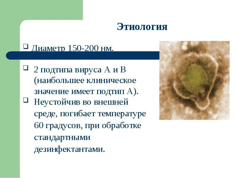 Эпштейн барр в слюне. Вирус Эпштейна-Барр этиология. Эпштейна-Барра вирусная инфекция что это.