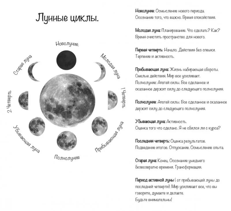 Сколько сутки на луне. Схема фаз лунного цикла. Циклы Луны схема. Циклы Луны по дням схема. Схема новолуния и полнолуния.