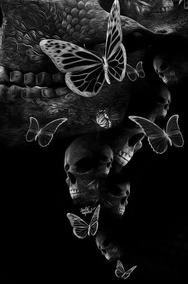 Бабочка на темном фоне. Череп на черном фоне. Бабочка с черепом. Темная бабочка. Скелет бабочки
