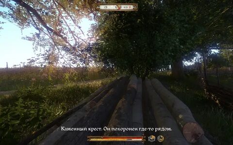 Обыскать 201