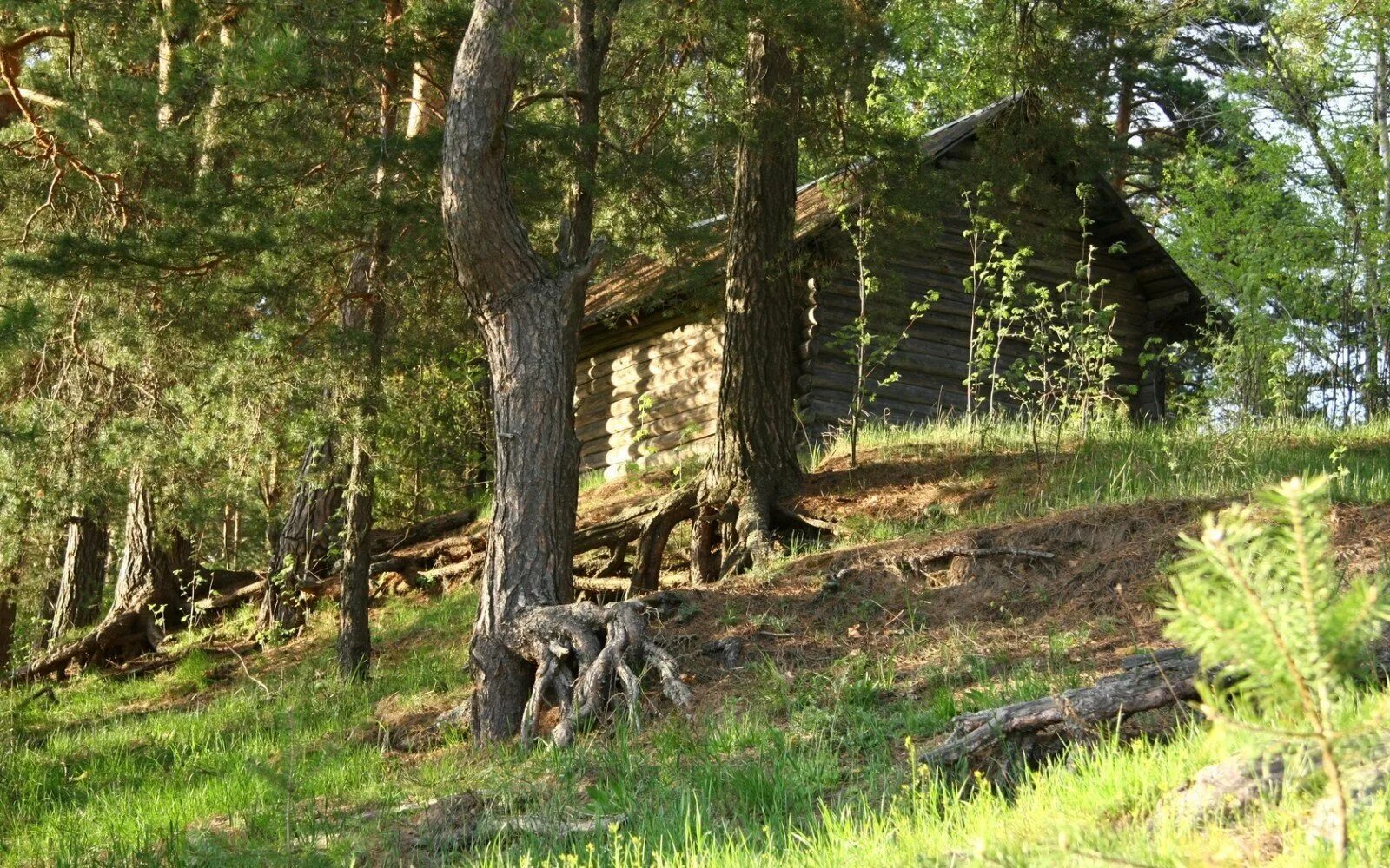 Другие сели в лесах