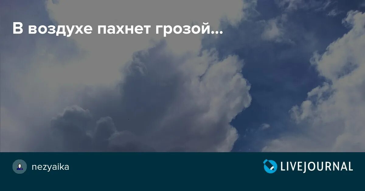 В воздухе пахло водой. В воздухе пахнет грозой. Воздух пахнет. Вонючий воздух. В воздухе запахло.