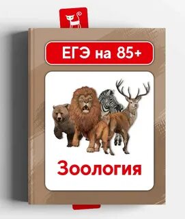 Зоология егэ