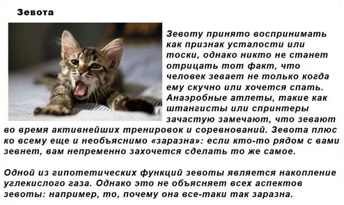 Это объясняет тот факт что. Фактов психологии которые помогут лучше понять окружающих. Примеры фактов. Тяжело объяснить человеку. Это объясняет тот факт что.