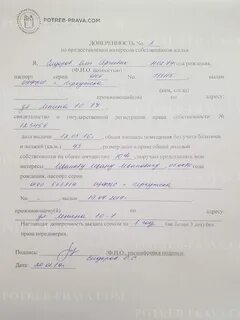 Платон документы