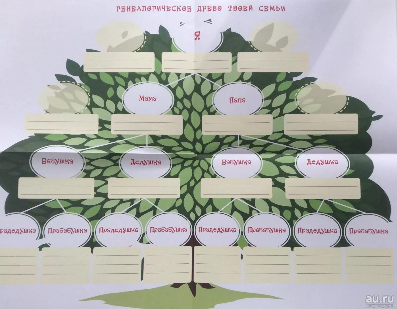 Генеалогическое Древо макет. Составление родословного дерева. Генеалогическое дерево в виде дерева. Составьте свое генеалогическое дерево. Пример родословного древа