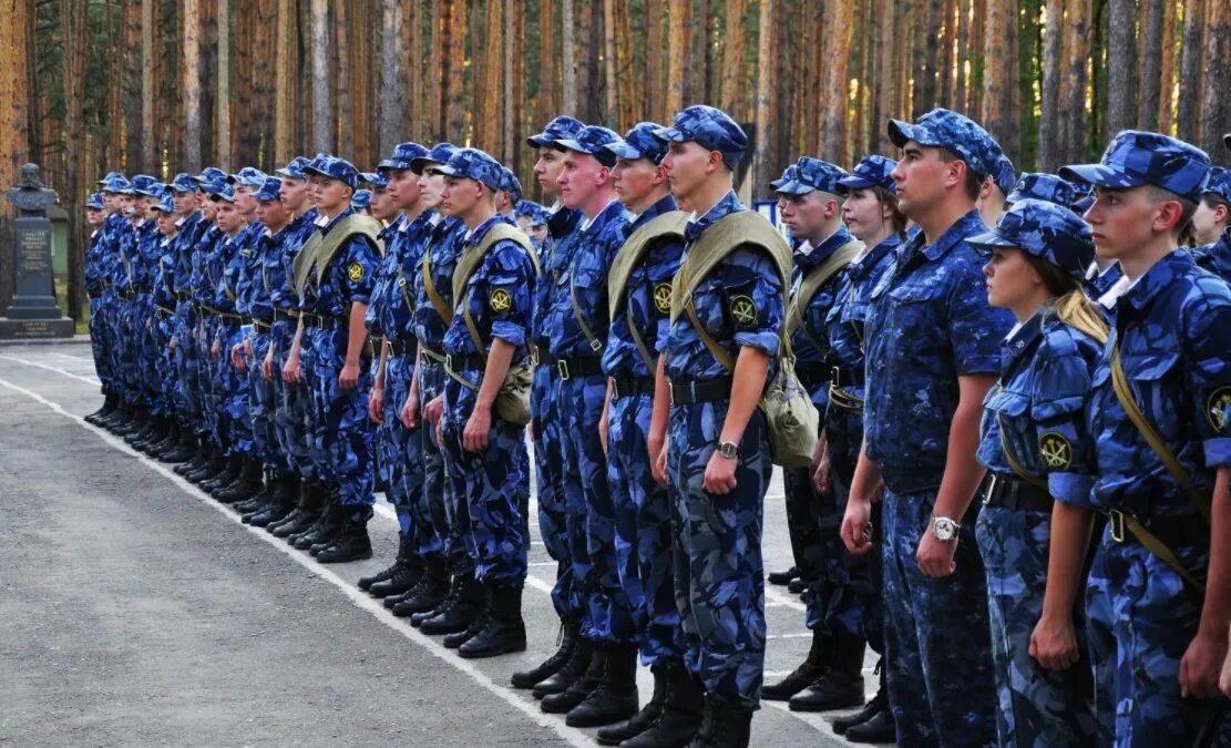 Учреждения и предприятия уголовно-исполнительной системы это. Преимущества к участникам закупки. Организации к уголовно-исполнительной системе. Предприятия и учреждения уис. Преимущества учреждениям уис что это.