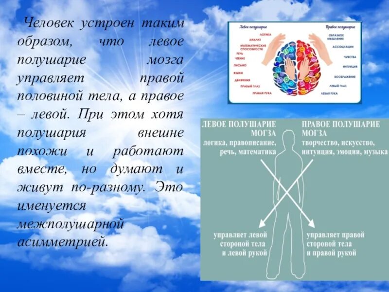 Полушария и руки. Левое и правое полушарие. Левое и правое полушарие мозга. Левое полушарие управляет правой половиной тела. Правое полушарие управляет левой стороной тела.