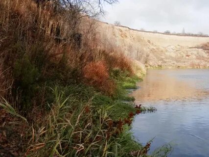 Алферовка воронежская область новохоперском районе