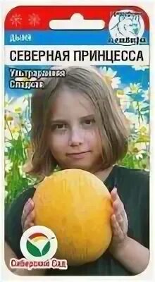 Дыня северная принцесса