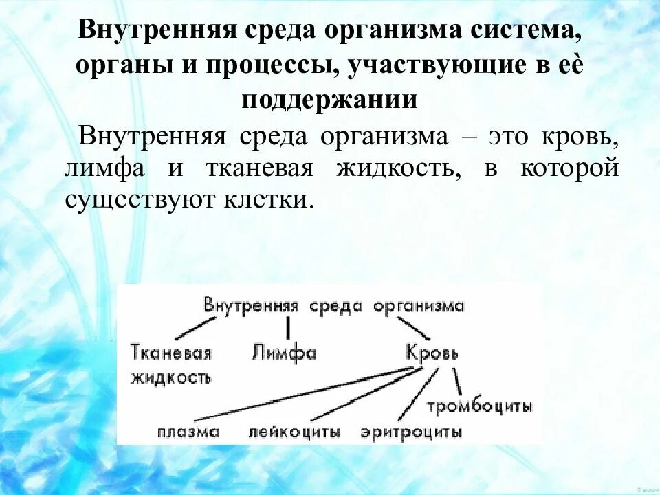 Организм и среда. Текст внутренняя среда организма. Внутренняя среда организма основа его