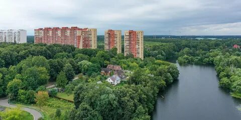 Г московский тинао