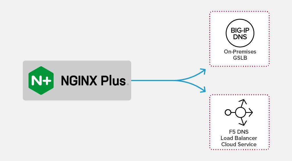Nginx image. Dns nginx. nginx торт. nginx юмор. health check nginx site.