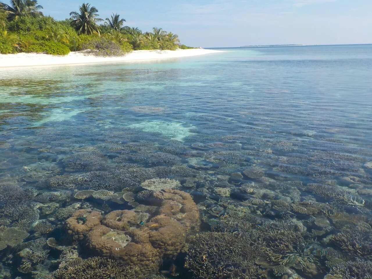 Island вода