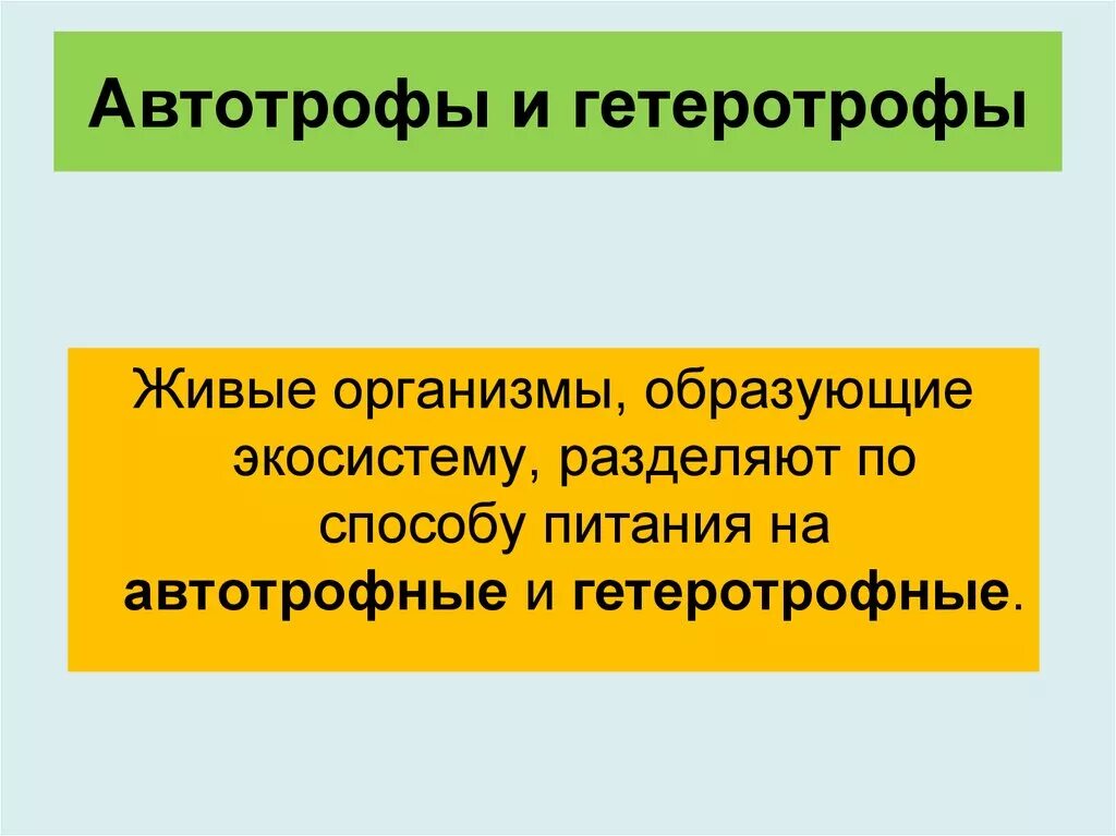 Автотрофы организмы способные. Автотрофы и гетеротрофы. Автоторфти гетероторф. Авто трорфы Гетеро трофы. Автотрофные и гетеротрофные организмы.