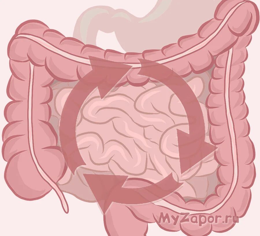 Толстая кишка запор. Перистальтика Толстого кишечника. Перистальтическая волна кишечника. Нарушение моторики кишечника.