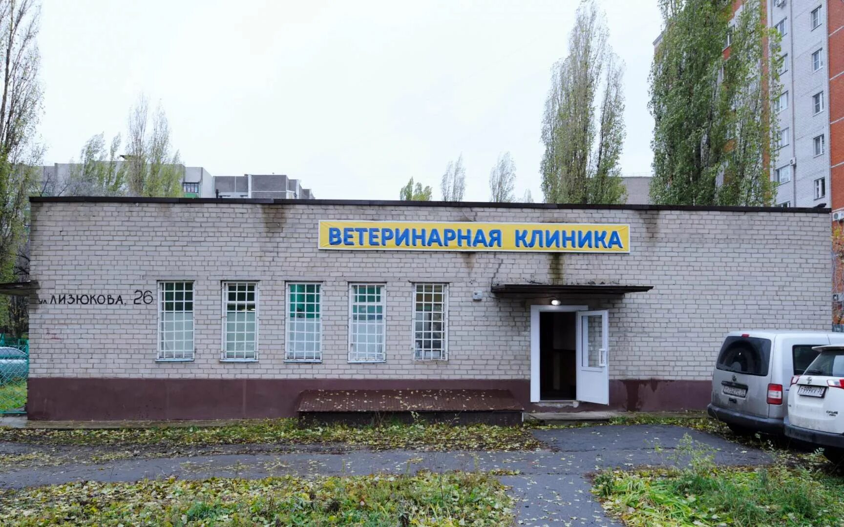 айболит ветеринарная клиника самара. клиника айболит кондрово. киржач ветклиника айболит. айболит ветеринарная клиника рязань. киржач ветклиника айболит.