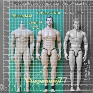 Scale 6