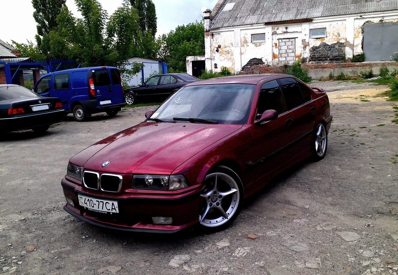 BMW e36 318i. БМВ е36 бордовая. BMW e36 Вишневая. BMW 318 e36. Бмв е36 год