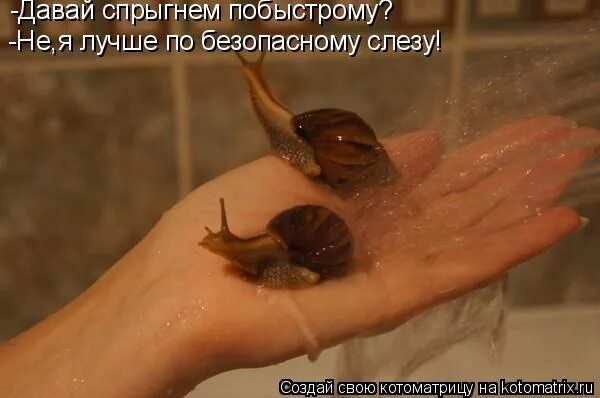 прыгай кака шка. давай прыгай какашка. давай прыгнем. давай прыгнем. давай прыгнем.