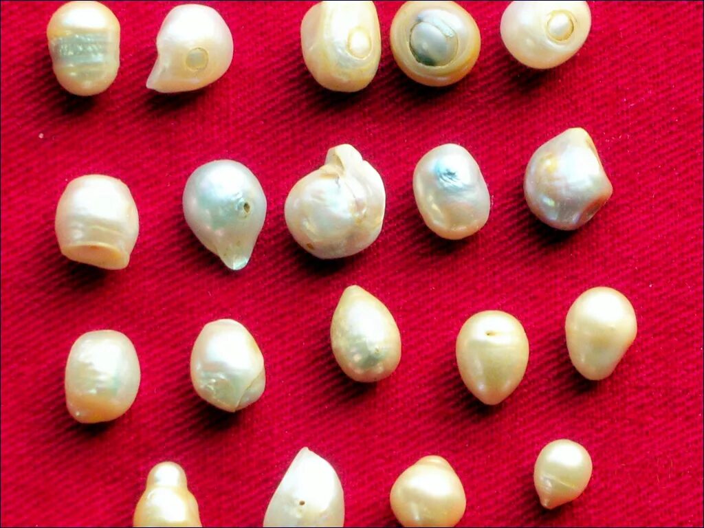 Sans souci pearl. Sans souci pearl
